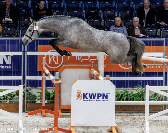Vince K van Kattenheye