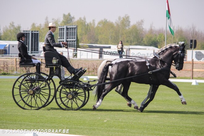 Hölle en Exell bundelen hun krachten voor het eerst in de Lipica ‘Pairs in the Picture’ clinic