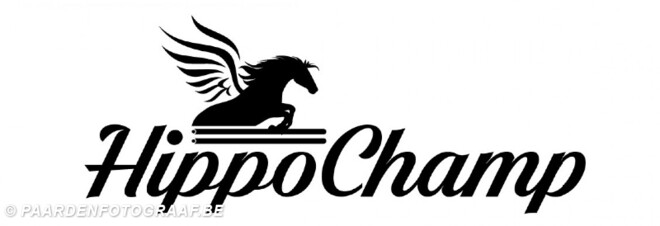 Nieuw !.  LIVE TV tijdens nieuwe Hippochamp