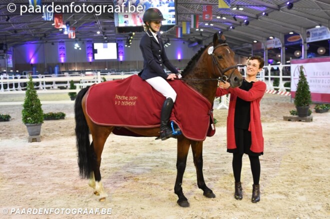Principal Dream nieuwe elite hengst BRP
