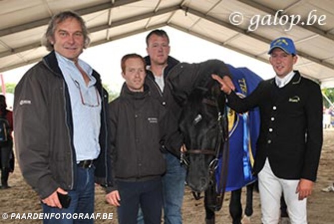 Zangersheide Sires of the World : Hunters scendix Bis
