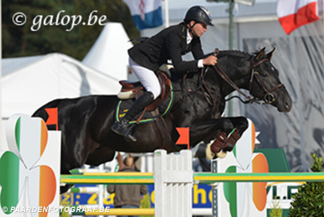 Hunters Scendix wint warm up Zangersheide Sires of the World
