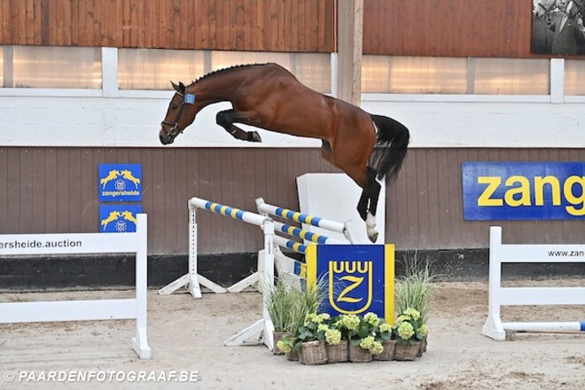 Sky Blue-K van Kattenheye naar Team Nijhof!