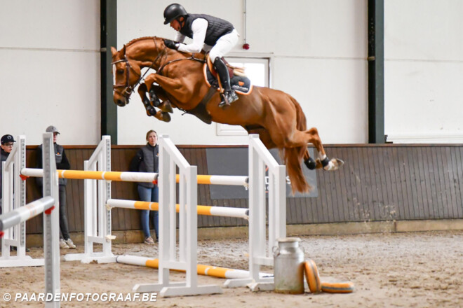 Escape Z verlaat stallen Harrie Smolders