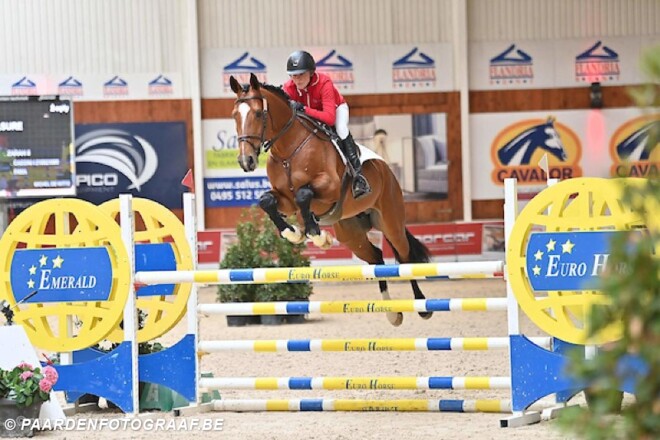 Praktische info Belgian Stallion Competition