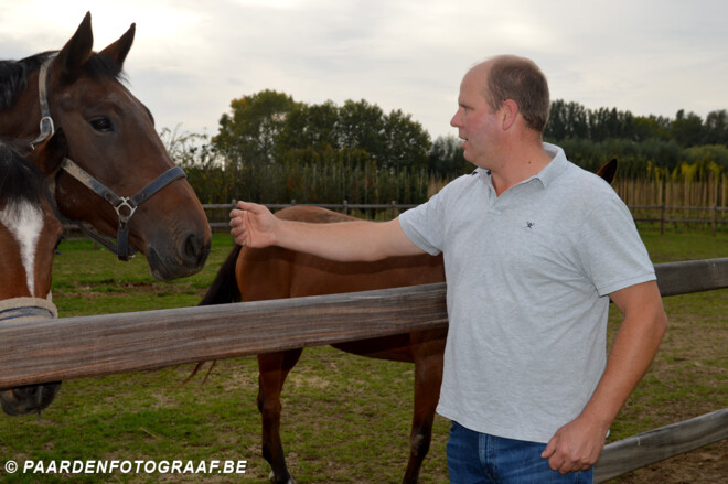 Het succesjaar van Calleryama en Steven Dewulf, kweker van bomen en fokker van paarden - interview