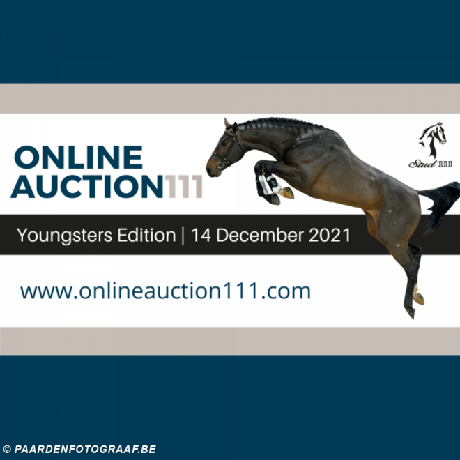 AUCTION 111 PRESENTS THE YOUNGSTER EDITION!