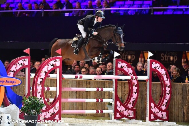 De vernieuwde Belgian Stallion Competition