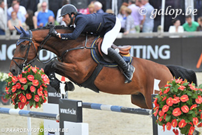 Sven Van Dijck en Vici R winnen laatste Gold League van seizoen