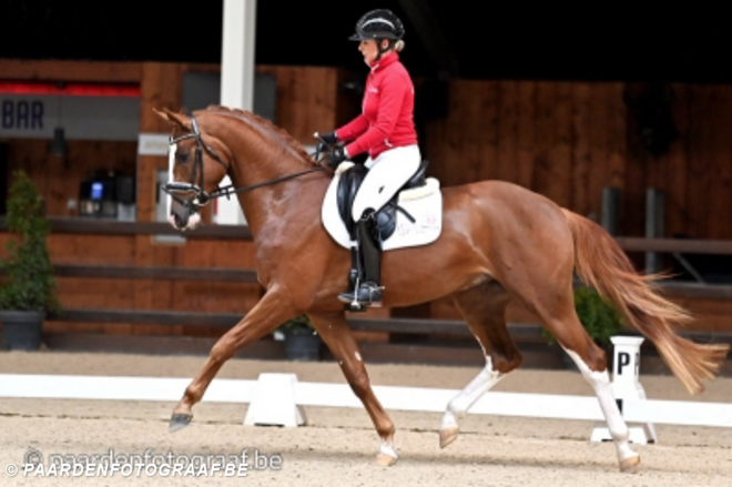 Sunny Boy vd Kempenhoeve kampioen dressuur!