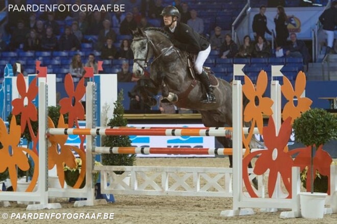 De Winter en Clee winnen hengstenproeven
