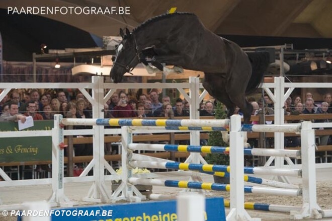 Tobago Z-zoon wint Finale Vrij Springen