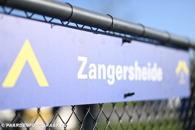Nieuwe datum Zangersheide hengstenkeuring