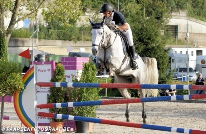 Drie Belgische paarden in topdrie GP Verbier