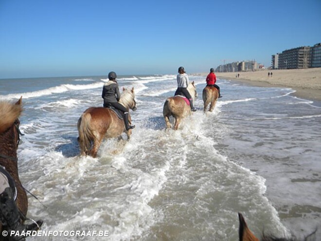 Paardenweekend Oostduinkerke 12-14 september
