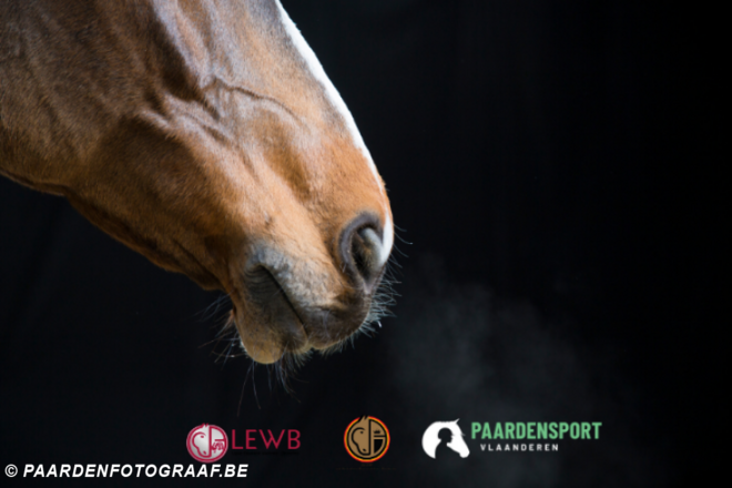 KBRSF volgt wedstrijdstop tot 11 april...