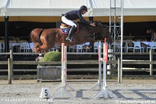 Moya wint Zangersheide Youngster Cup