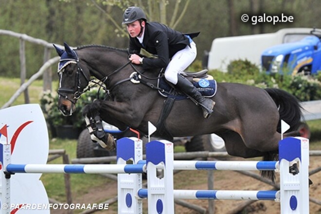 Nieuw paard voor Lamaze