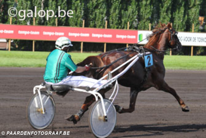 Jumpingruiters voor één keer in de sulky