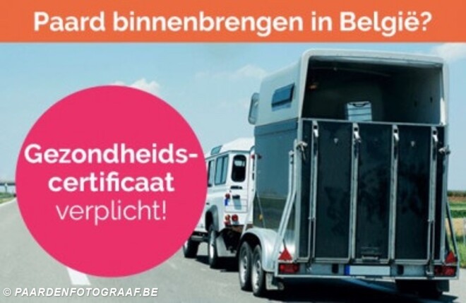 Nieuwe maatregelen voor paarden zonder ...