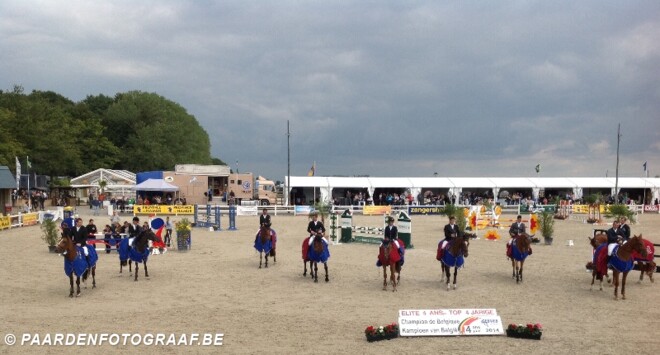 Negen vierjarige paarden Belgisch kampioen