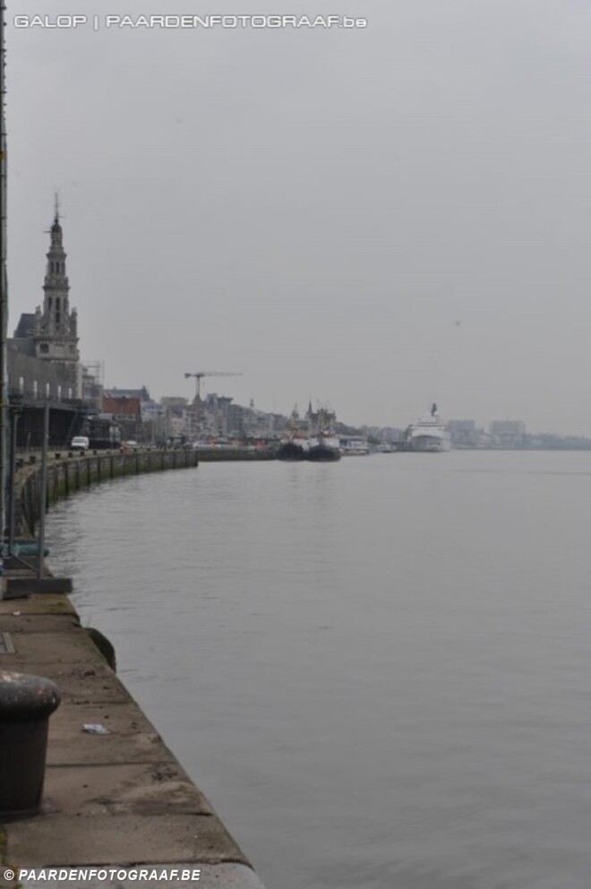 Geen Global Champions Tour meer in Antwerpen