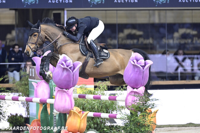 Top 5-klassering voor Elke Appeltans in Longines Rankingproef van Kronenberg