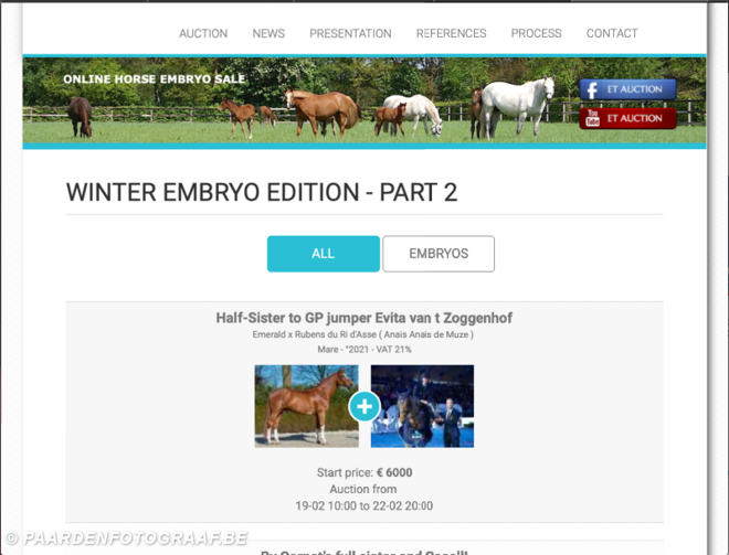 De climax van ET-Auction’s winterverkoop