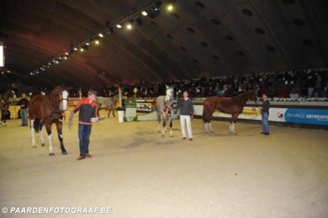 Halfbroer Moneymaker wint bij de mannelijke