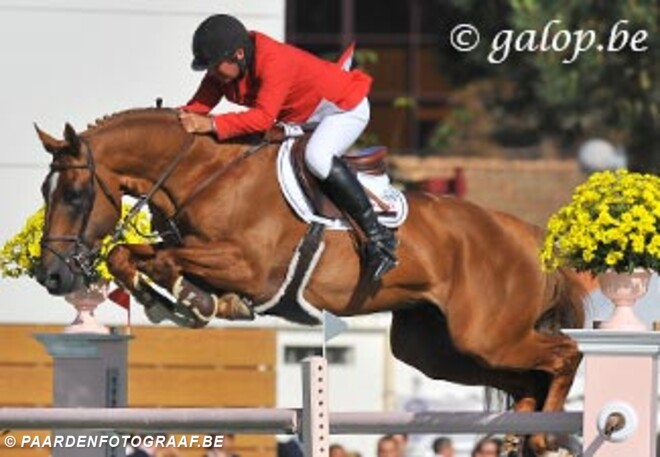 Vigo d"Arsouilles gooit handdoek in de ring + interview