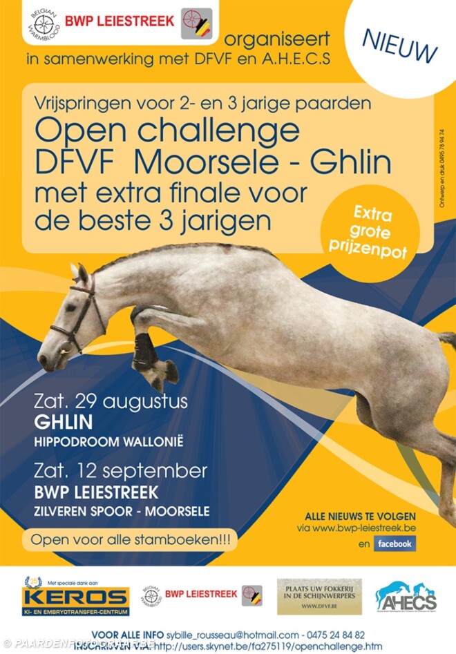 DFVF organiseert challenge vrijspringen