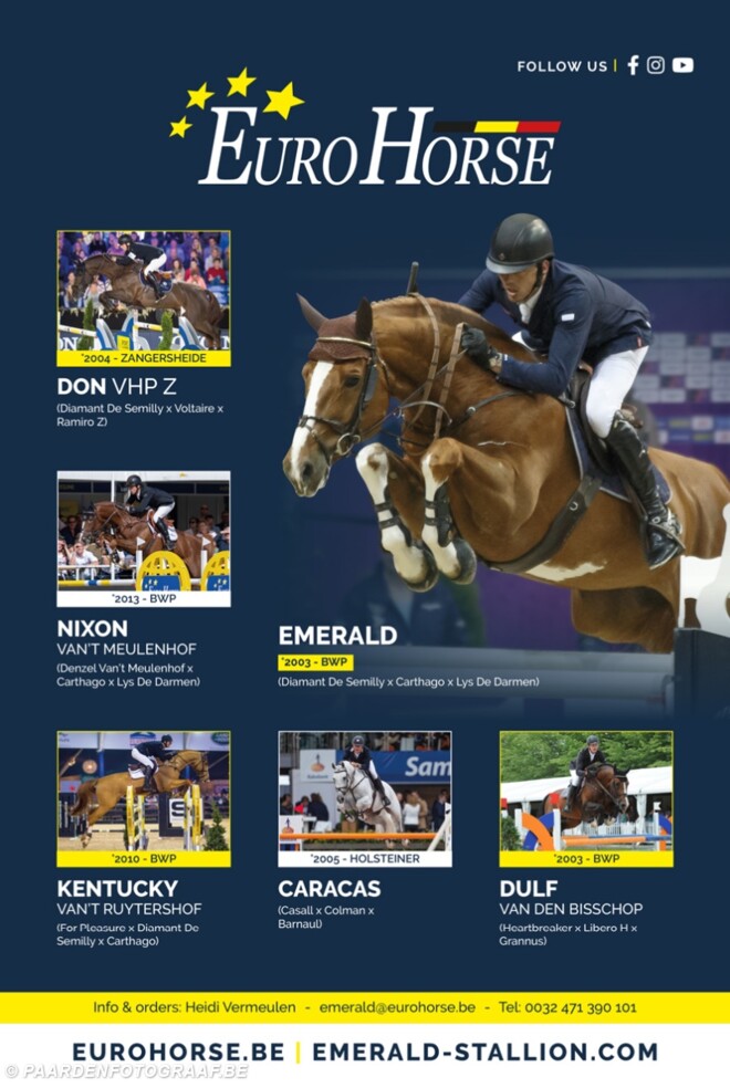 Eurohorse is op zoek naar...