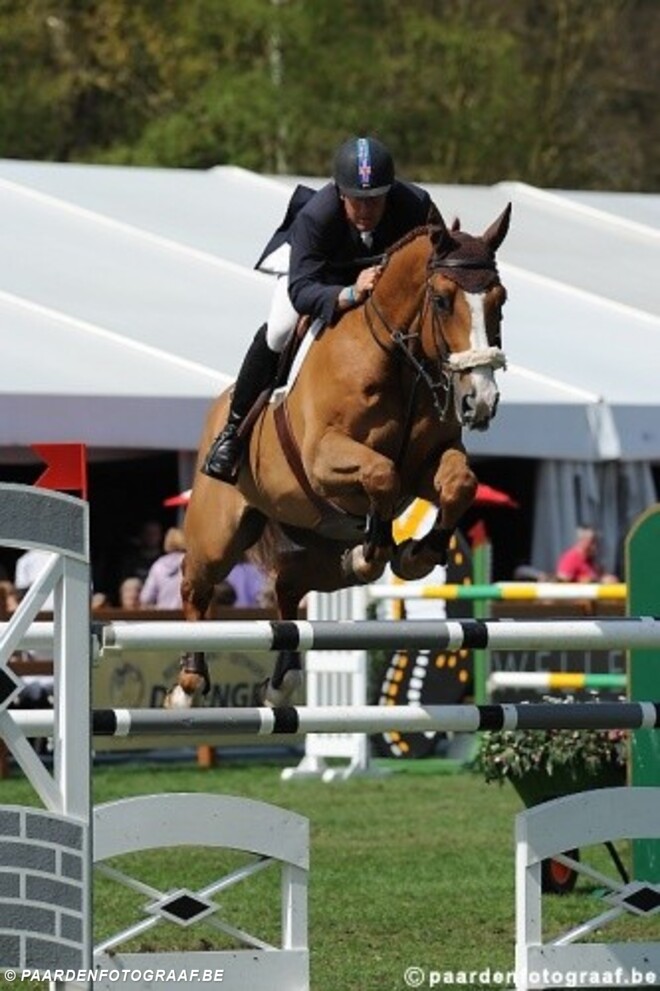 Hickstead: Verlooy en Wathelet meteen voorin