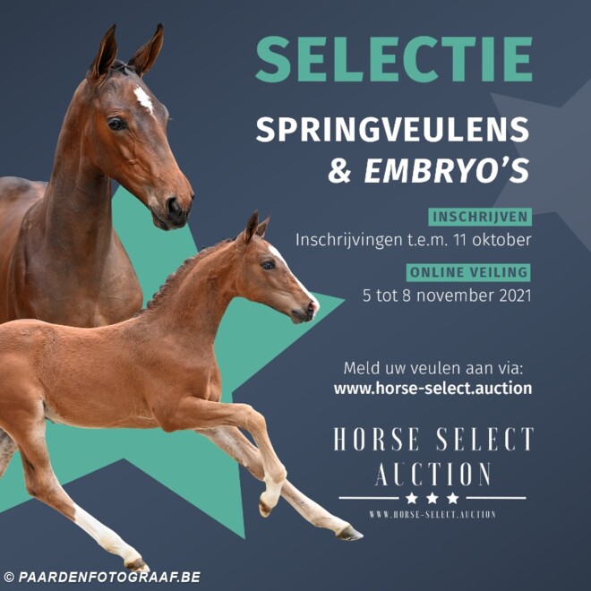 Horse Select Auction: schrijf je veulen in!