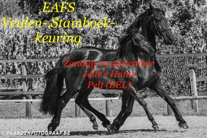 Arabo-Friese keuring - Pelt - 19 september
