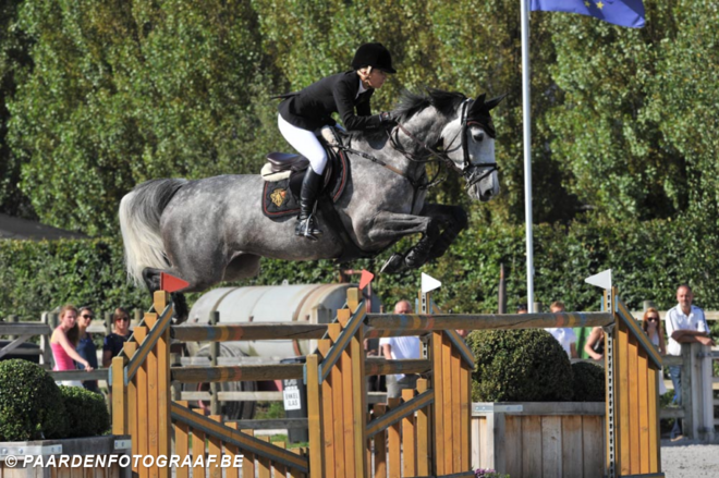 Erenice Horta levert veilingtopper Stephex!