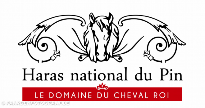 Dossier WK Pony's - Haras du Pin - 15-19/09