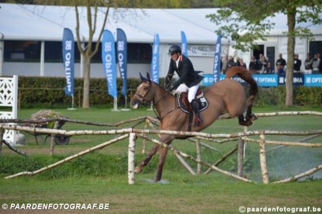 Belgische paarden pakken alles in Dinard