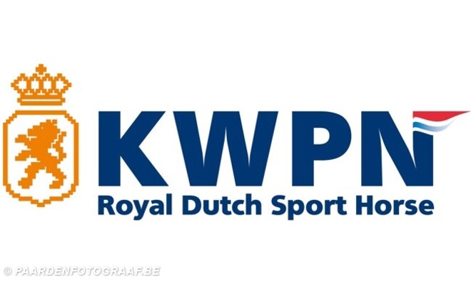 KWPN hengstenkeuring na 3 dagen