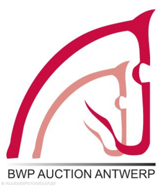 12e editie BWP Auction Antwerp: topkwaliteit
