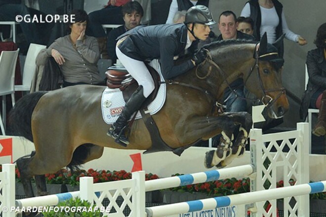 Belgische paarden ook in Wenen voorin