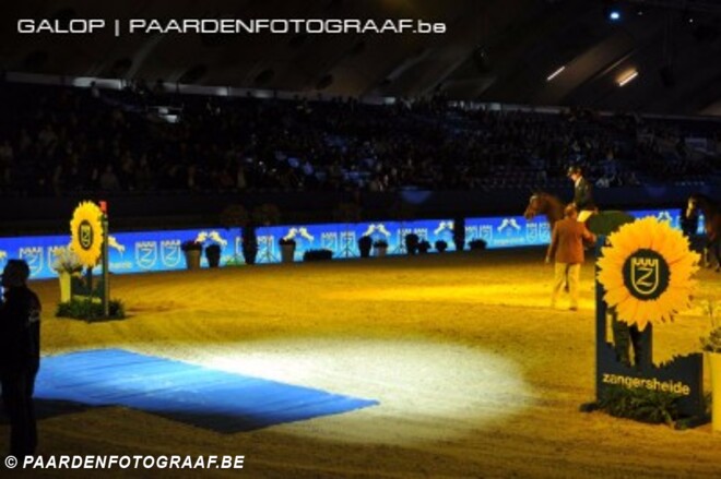 Zangersheide Day op Jumping Mechelen