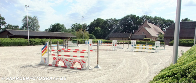 Rostal zoekt nieuwe ruiter !