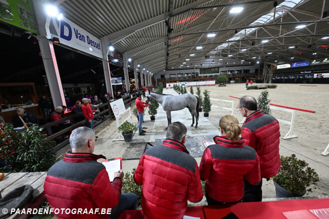 Programma BWP Hengstenkeuring