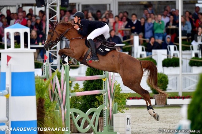 Veiling Optimus - € 38.000 voor embryo