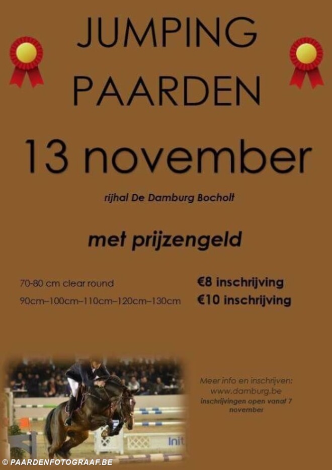 Jumping paarden op 13/11 in de Damburg