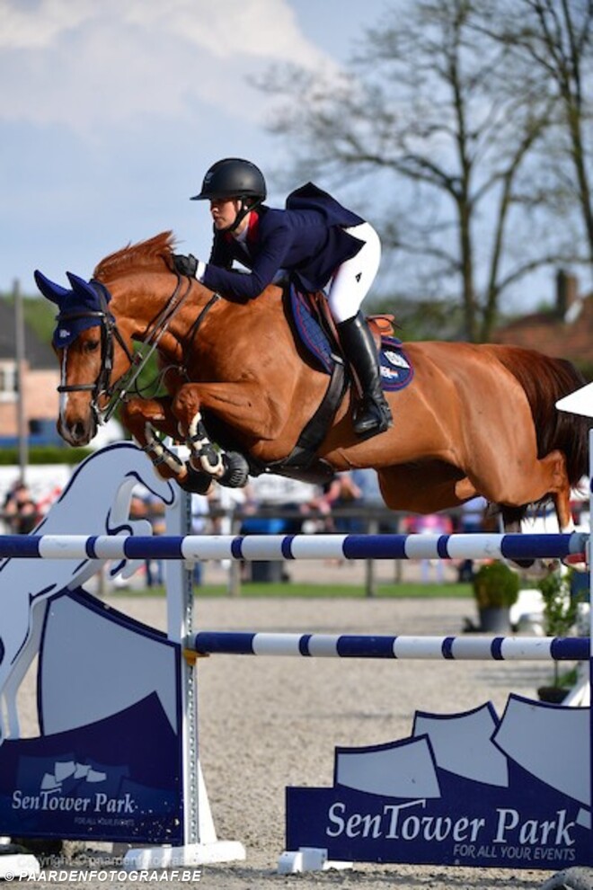 Evergate Stables verkoopt Hocus Pocus!