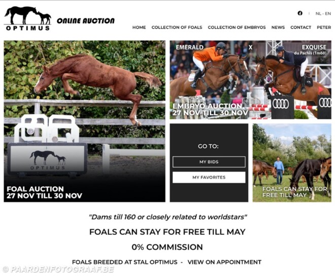 Online auction Optimus gestart