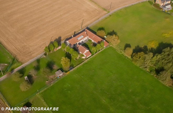 Immofluisteraar verkoopt in Wieze