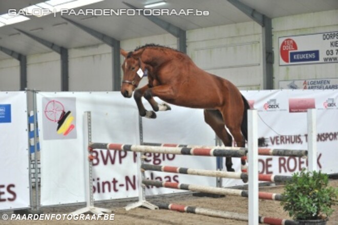 Belgian Youngster Trials: lijsten & timing